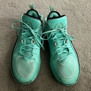 World of Wade basketball shoes